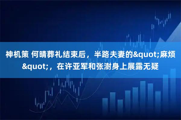 神机策 何晴葬礼结束后，半路夫妻的"麻烦"，在许亚军和张澍身上展露无疑